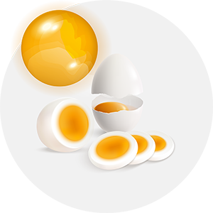 تخم پرندگان